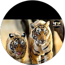 DEVENDRA KUMAIN profile picture